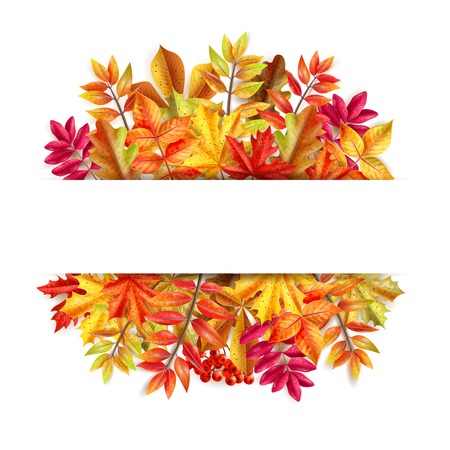 Thanksgiving day composition with colorful leaves frame and place for message at the center vector illustrationのイラスト素材
