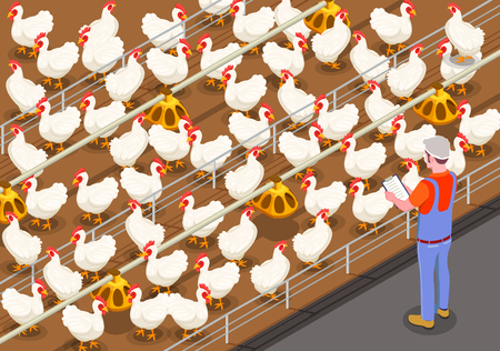 Poultry isometric background with staff member on chicken farm controlling feeding of birds vector illustrationのイラスト素材