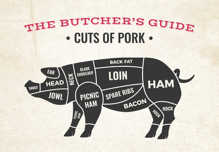 Butchery diagram with silhouette of pig and cuts of pork on background of old paper vector illustrationのイラスト素材