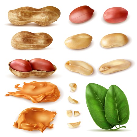 Realistic peanut set of isolated images of beans in shell with green leaves and peanut butter vector...