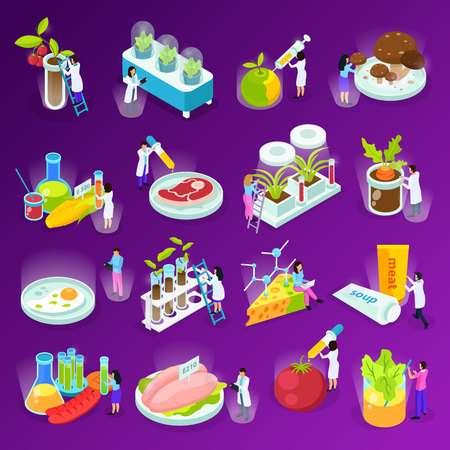 Set of isometric icons with artificial food scientists and laboratory equipment on purple background isolated vector illustrationのイラスト素材