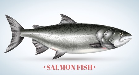 Realistic salmon fish on light background vector illustrationのイラスト素材
