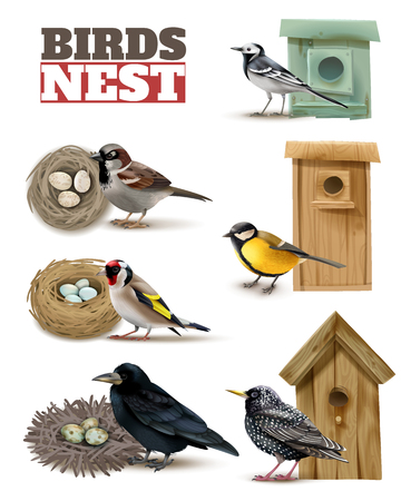 Birds nest set with editable text and realistic images of birds with wild nests and birdhouses vector illustrationのイラスト素材