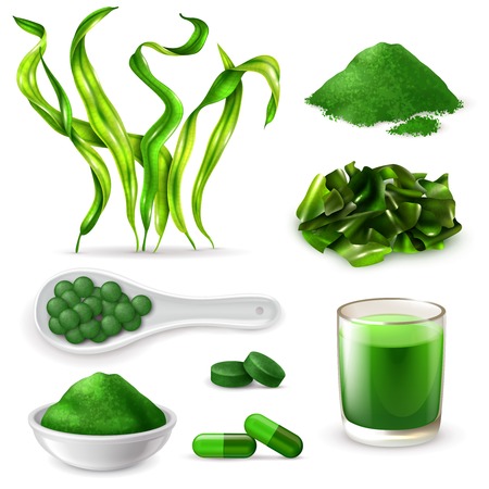 Spirulina realistic set with seaweeds  supplement capsules drink tablets green blue powder chopped dried algae vector illustrationのイラスト素材