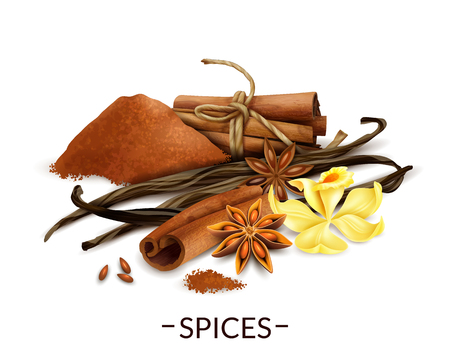 Spices realistic composition with vanilla flower and dried beans star anise cinnamon powder and sticks vector illustrationのイラスト素材