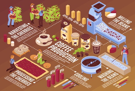 Isometric coffee production horizontal flowchart composition with isolated infographic elements plants with beans packaging and people vector illustrationのイラスト素材