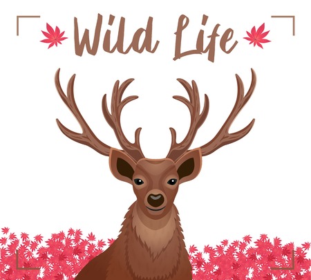 Wild life decorative poster with closeup dear head with horns antlers pink flowers background flat vector illustration のイラスト素材