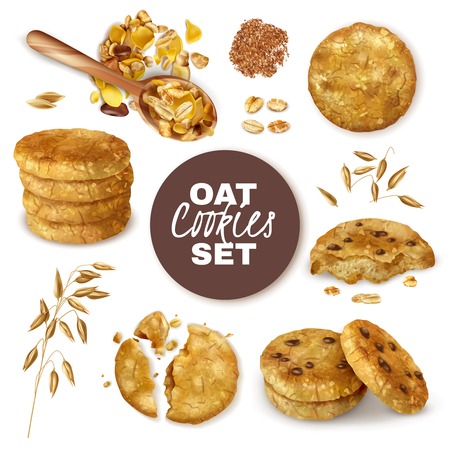 Whole and broken oatmeal cookies decorated with ears of oats realistic set isolated vector illustrationのイラスト素材