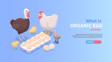 Poultry farm production isometric horizontal website banner design with organic eggs chicken turkey meat offerのイラスト素材