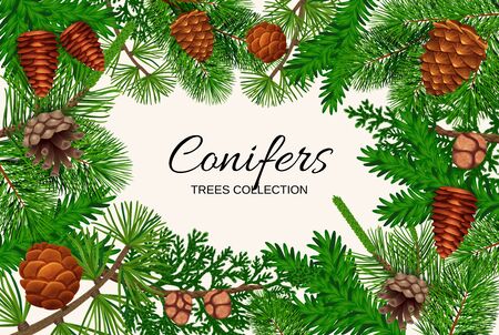 Pine tree cone frame composition with empty space for ornate text surrounded by fir needle images vector illustrationのイラスト素材
