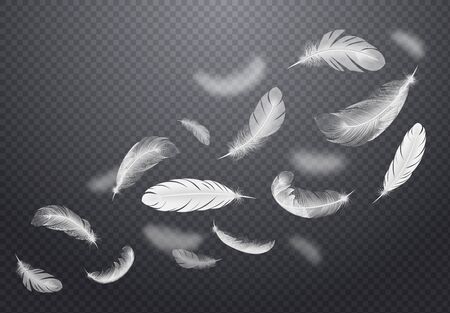 Set of white falling bird feathers on dark transparent background in realistic style vector illustrationのイラスト素材