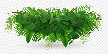 Tropical leaves palm branch realistic composition with image of green leaf pile isolated on transparent background vector illustrationのイラスト素材