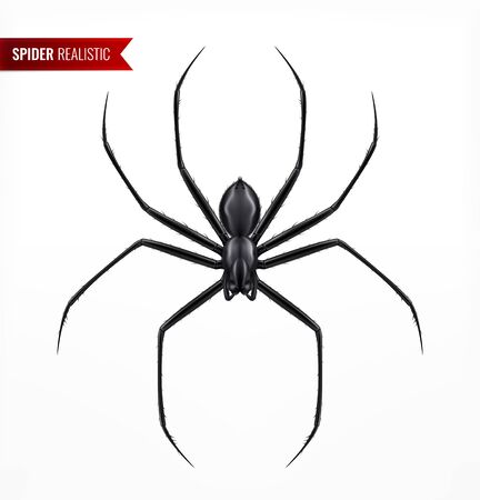Black spider realistic composition with top view image of arthropod insect with text on blank background vector illustrationのイラスト素材