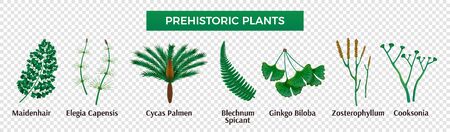 Prehistoric plants horizontal set with isolated images of herbs with editable text captions on transparent background vector illustrationのイラスト素材