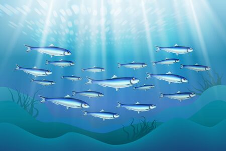 Fish colony schooling close to ocean bottom realistic underwater image with sun rays penetrating water vector illustration のイラスト素材