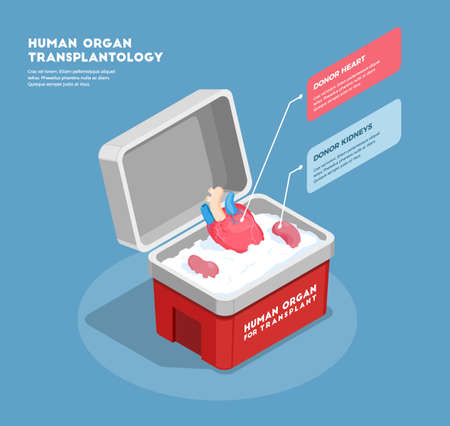 Human organs isometric composition with donor heart and kidneys in medical container 3d vector illustrationのイラスト素材