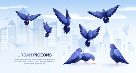 Pigeons flat composition with cityscape background silhouettes of birds and editable text with images of pigeons vector illustrationのイラスト素材