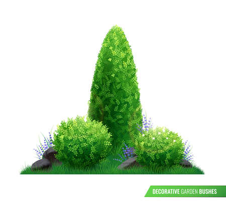 Decorative garden bushes realistic composition with green leaves different sizes and heights vector illustrationのイラスト素材