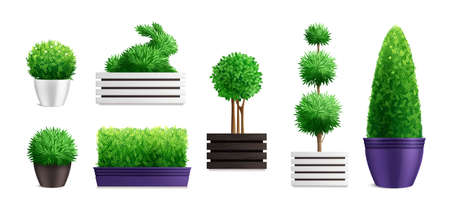 Decorative garden bushes in pots icon set with different pots styles and sizes of bushes vector illustrationのイラスト素材