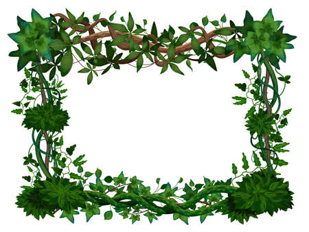 Tropical twining lianas realistic frame with hedera ivy climbing vine exotic plants leaves white background vector illustrationのイラスト素材