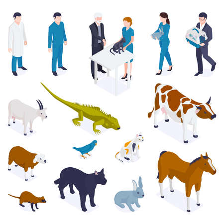 Isometric farm pet veterinary set of isolated icons and characters of wild domestic animals and people vector illustrationのイラスト素材