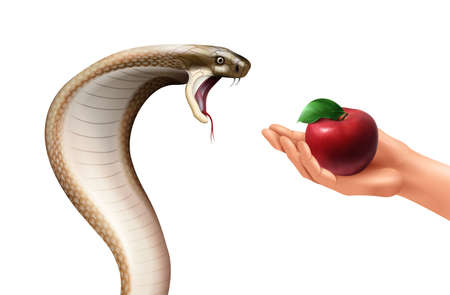 Snake and apple realistic composition with isolated images of hissing cobra and human hand holding fruit vector illustrationのイラスト素材