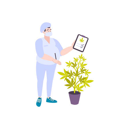 Cannabis hemp marijuana people composition with cannabis plant in pot and human character with quality checklist vector illustrationのイラスト素材