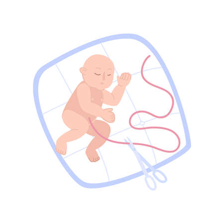 Childbirth motherhood flat composition with character of baby lying on pillow with placenta and scissors vector illustrationのイラスト素材