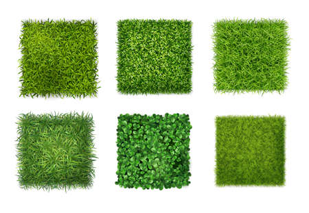 Ground cover plants background texture 6 realistic square icons set with green grass clover leaves vector illustrationのイラスト素材