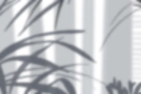 Realistic shadow composition with bright wall and silhouettes of long leaves vector illustrationのイラスト素材
