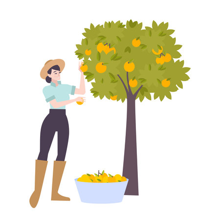 Citrus Fruits Vector Illustrationのイラスト素材
