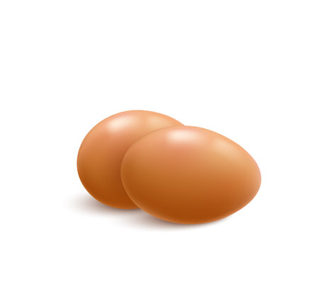 Realistic Eggs Illustrationのイラスト素材