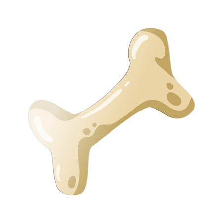 Bone Vector Illustrationのイラスト素材