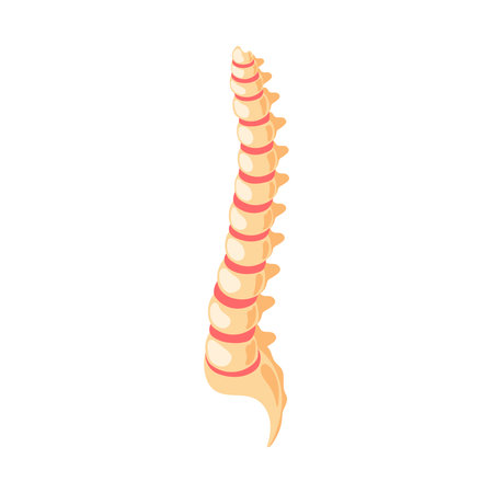 Orthopedics Clinic Iconのイラスト素材
