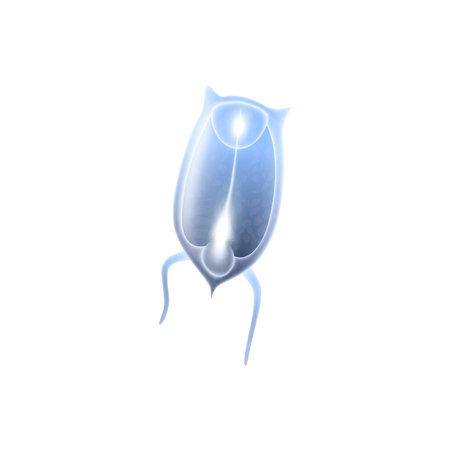Plankton Realistic Iconのイラスト素材