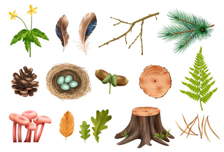 Realistic Forest Icons Collectionのイラスト素材