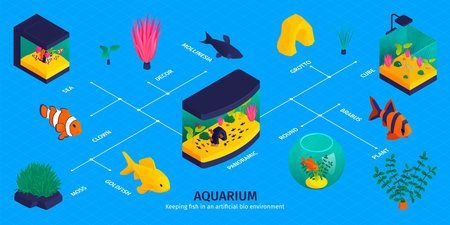 Isometric Aquarium Fish Infographicsのイラスト素材