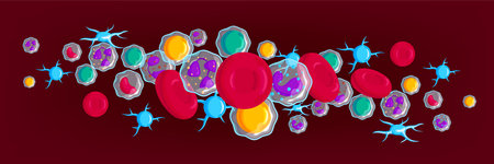 Blood Cells Header Banner