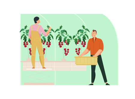 Hanging Plants Flat Compositionのイラスト素材