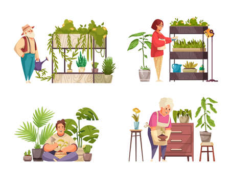 Home Plants 2x2 Compositionsのイラスト素材