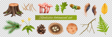 Botanical Icons Transparent Setのイラスト素材