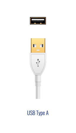 Type-A White Compositionのイラスト素材