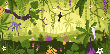 Jungle Rainforest Landscape Compositionのイラスト素材