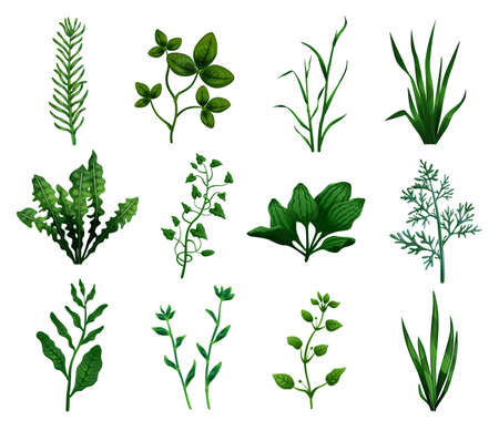 Green Grass Icons Setのイラスト素材