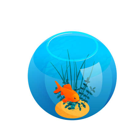 Ball Shaped Aquarium Compositionのイラスト素材