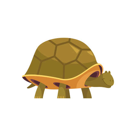 Turtle Cartoon Iconのイラスト素材