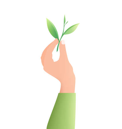 Tea Leaf Hand Compositionのイラスト素材