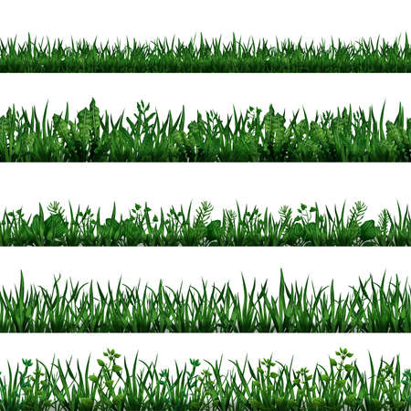 Green Grass Border Setのイラスト素材