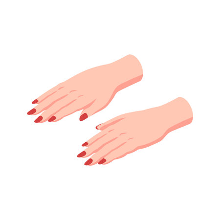 Female Hands Nails Compositionのイラスト素材