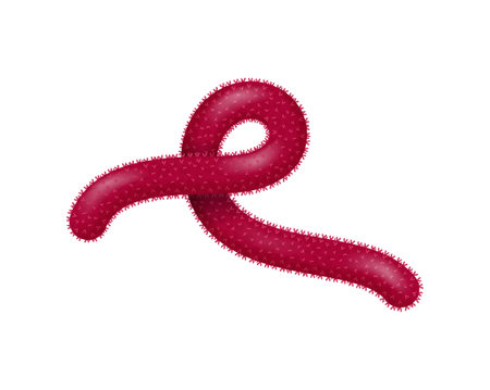 Virus Realistic Iconのイラスト素材